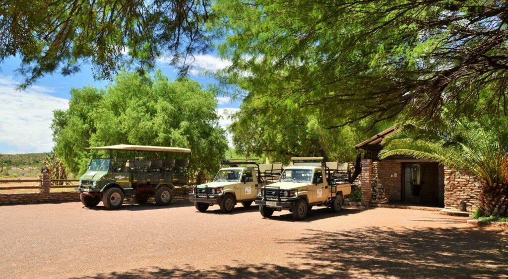 Thuru Game Lodge Luxury Safari Kalahari Safari Exprience Hunting Safari Experience in kalahari