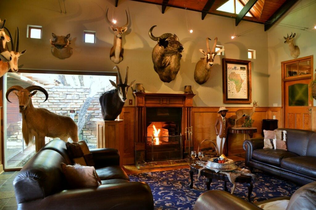 Thuru Game Lodge Luxury Safari Kalahari Safari Exprience Hunting Safari Experience in kalahari